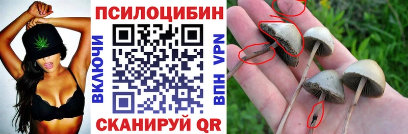 Галлюциногенные грибы Magic Shrooms  Пушкино 