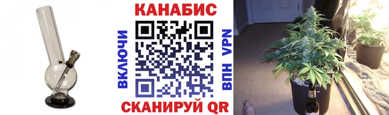 Бошки марихуана планчик  Пушкино 